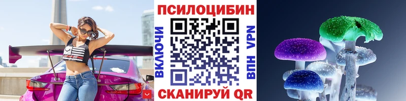 закладка Отрадная Псилоцибиновые грибы Psilocybe